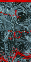 N is for Neuron, 2014 by Meggan Czapiga