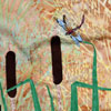 Hide and Seek Detail 2
